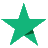 Trustpilot Icon